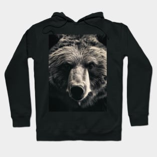 A brown bear in nature that looks cute and cuddly looks warm. Hoodie